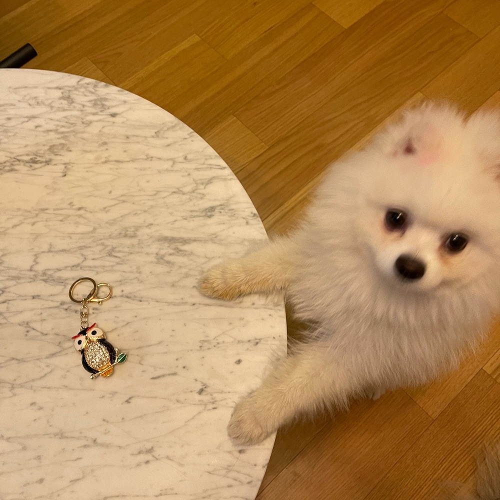 Keychain - Picture 4 of 4